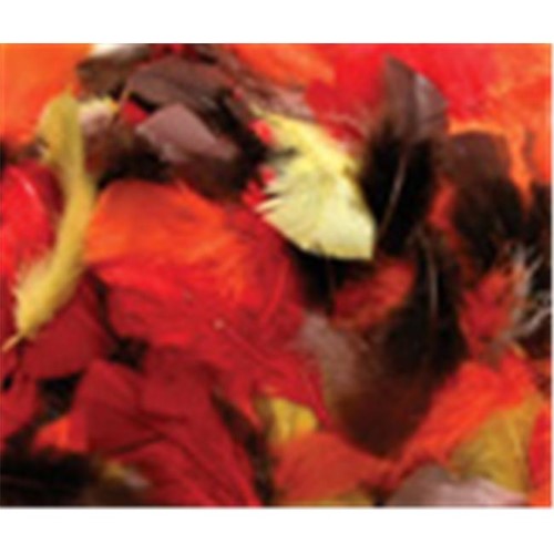 Asst Quill Feathers Fall Color