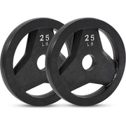 25 LB CAST IRON GRIP PLATE, SET OF 2