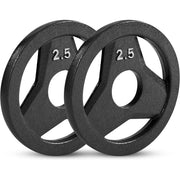 2.5 LB CAST IRON GRIP PLATE, SET OF 2