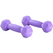 2 LB VINLY DUMBELL, LAVENDER PAIR