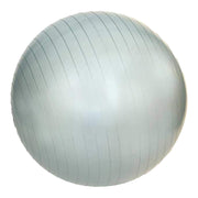 ANTI BURST GYM BALL 55 CM