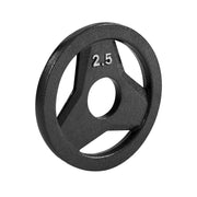 2.5 LB RUBBER BUMPER PLATES