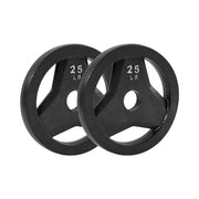 25 LB BUMPER PLATES, SET OF 2