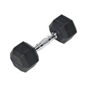 12 LB RUBBER HEX DUMBELL