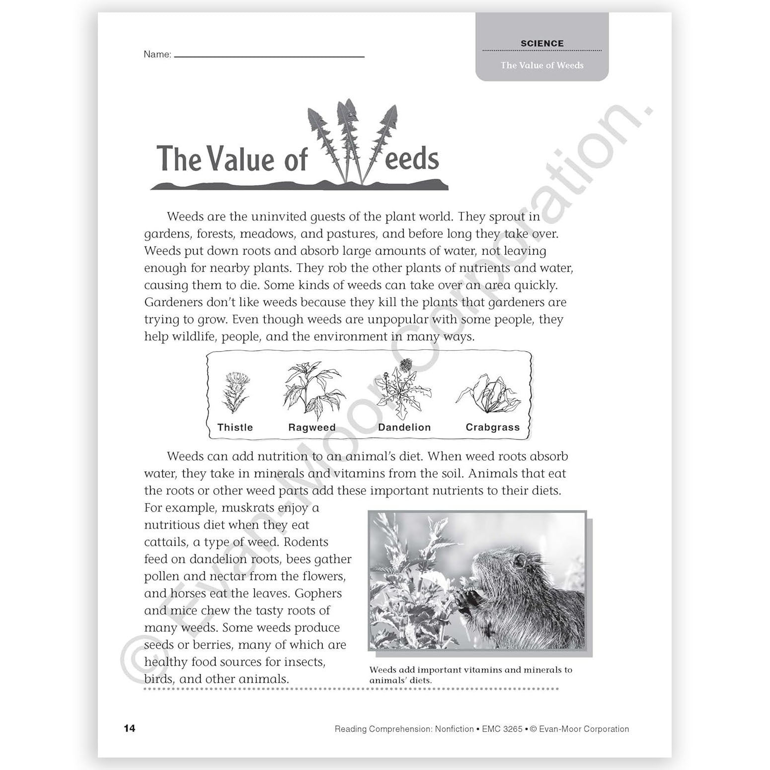 Reading Comprehension: Nonfiction, Grade 5
