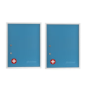 21 in. H x 16 in. W x 6 in. D Large Dual Lock Surface-Mount Medical Security Cabinet in Blue 2 Pack