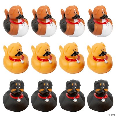Dog Rubber Duckies - 12 Pieces