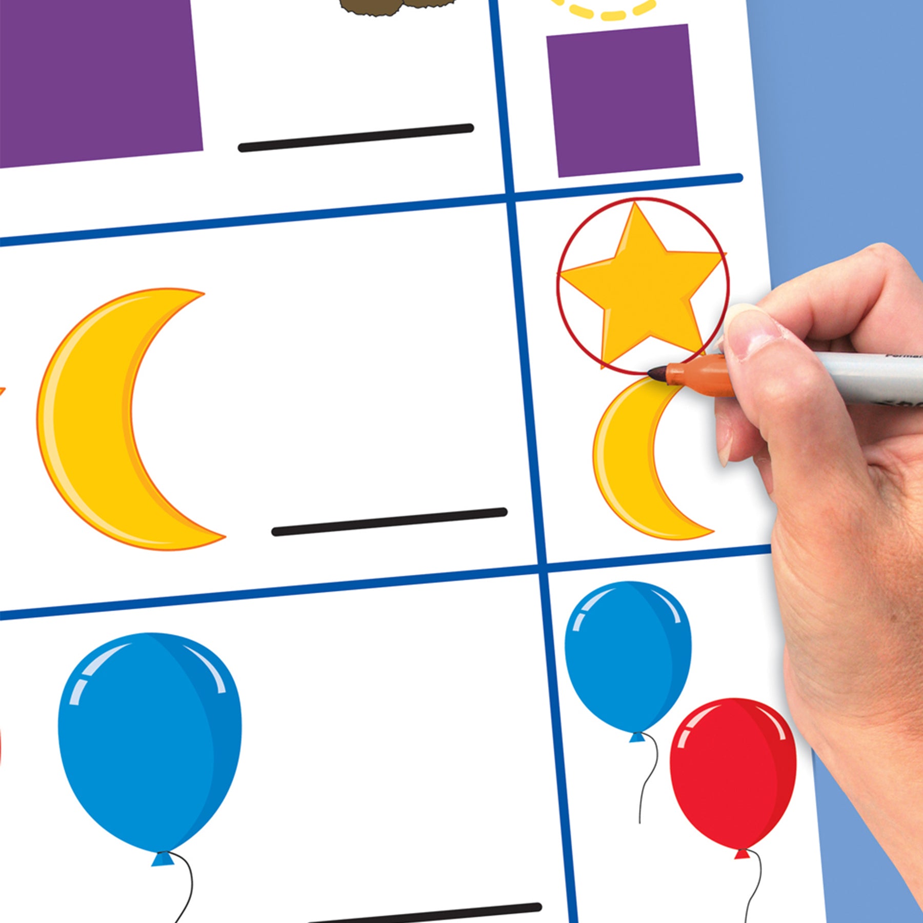 Patterns & Sorting Curriculum Mastery® Flip Chart
