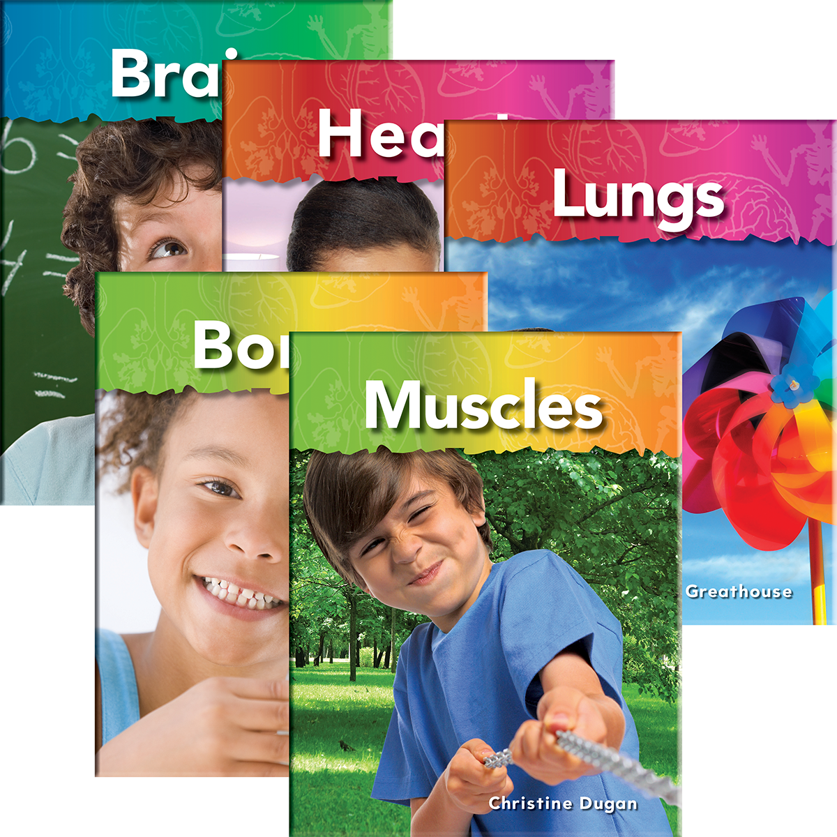 My Body Set of 5