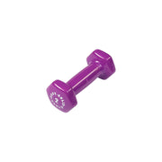 Light Purple 2Lb Vinyl Dumbell