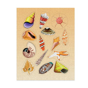 Sticker Forms - Sea shells - 3 sheets