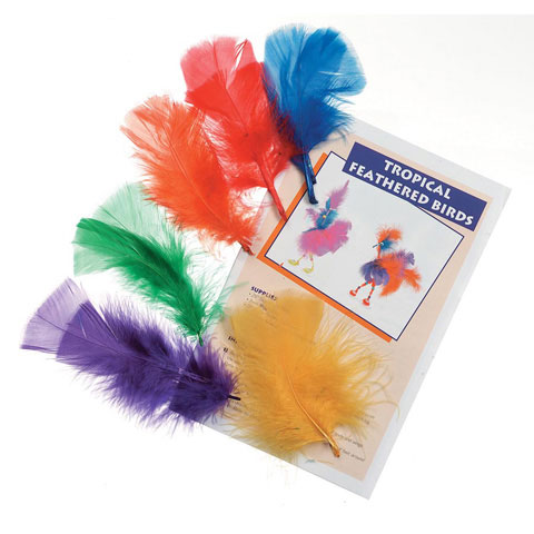 Feathers Big One Bright Ast 50Grm Pk