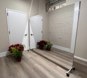 Glassless Mirror, Floor Stand and Corkboard Back Panel, 48" W x 84" H