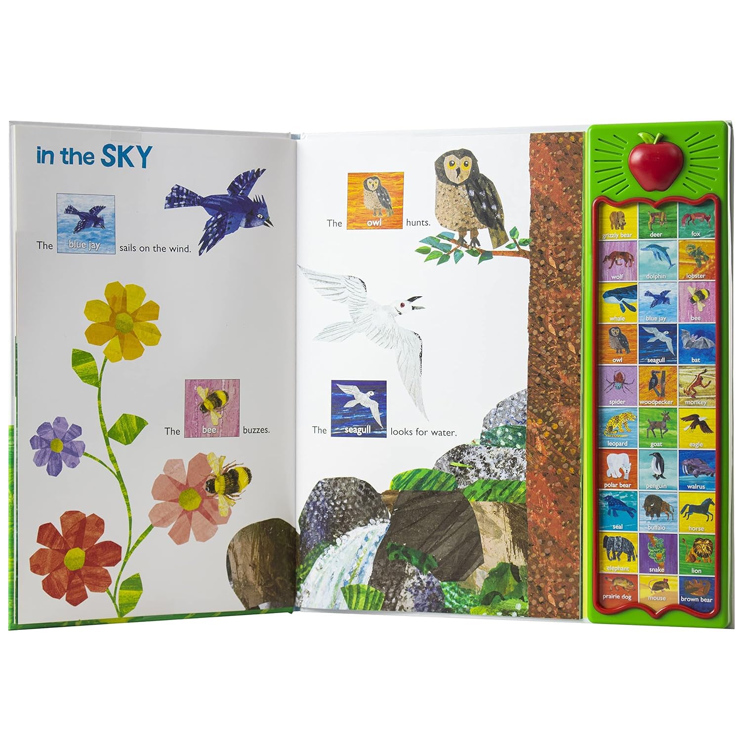 The World of Eric Carle: Hear Bear Roar