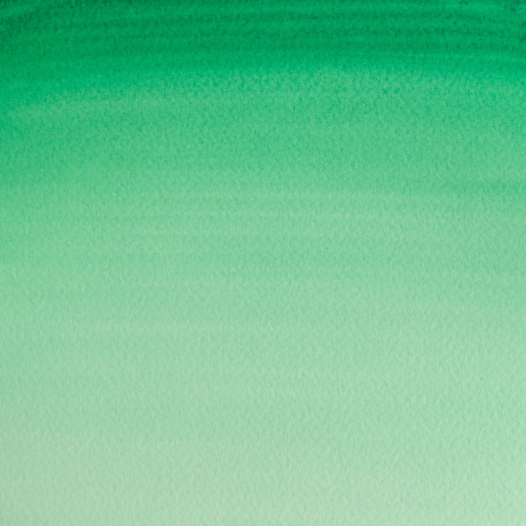 CWC Half Pan - Emerald