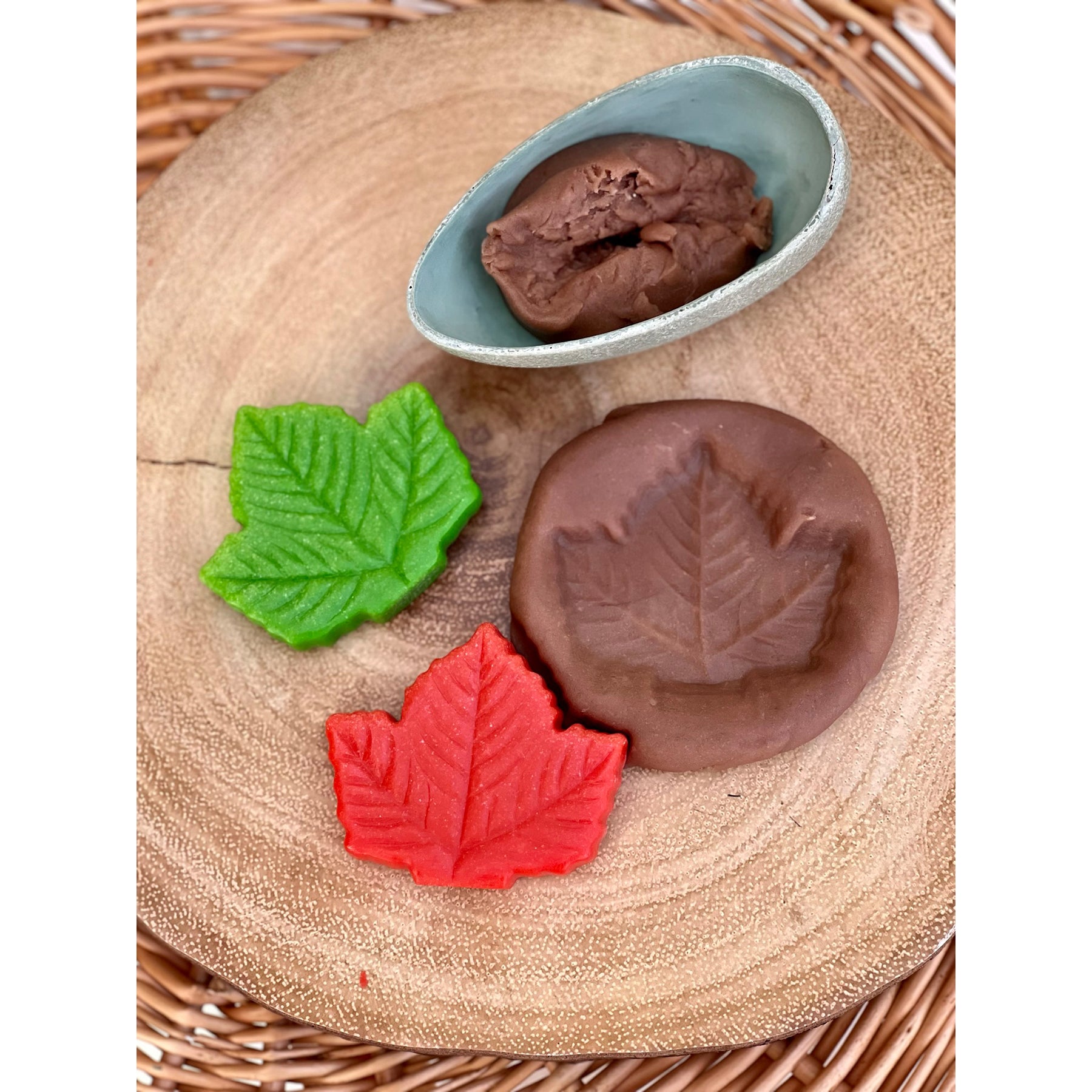 Sensory Play Stones - Leaves - Set of 12