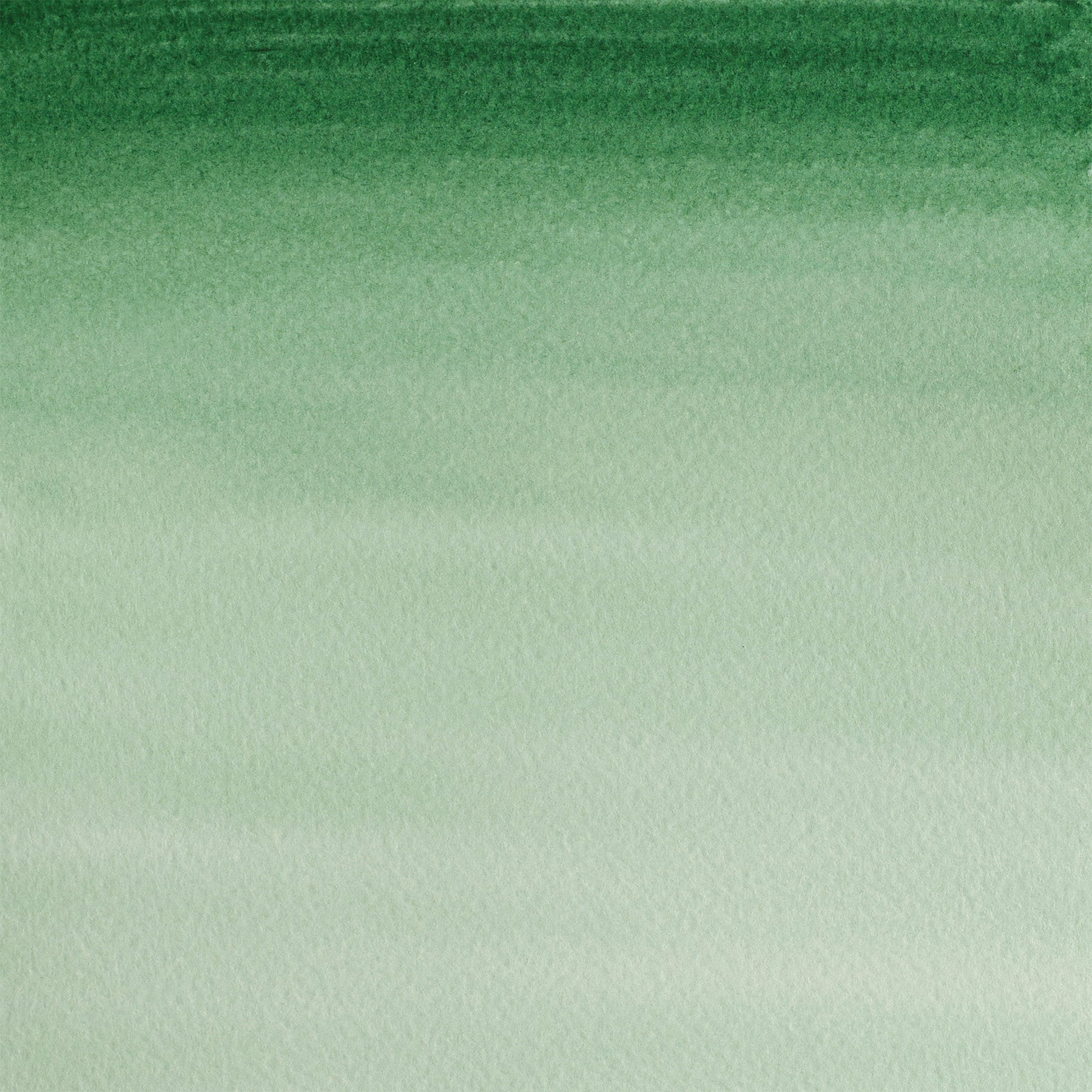 CWC 21ml tube - Hooker's Green Dark