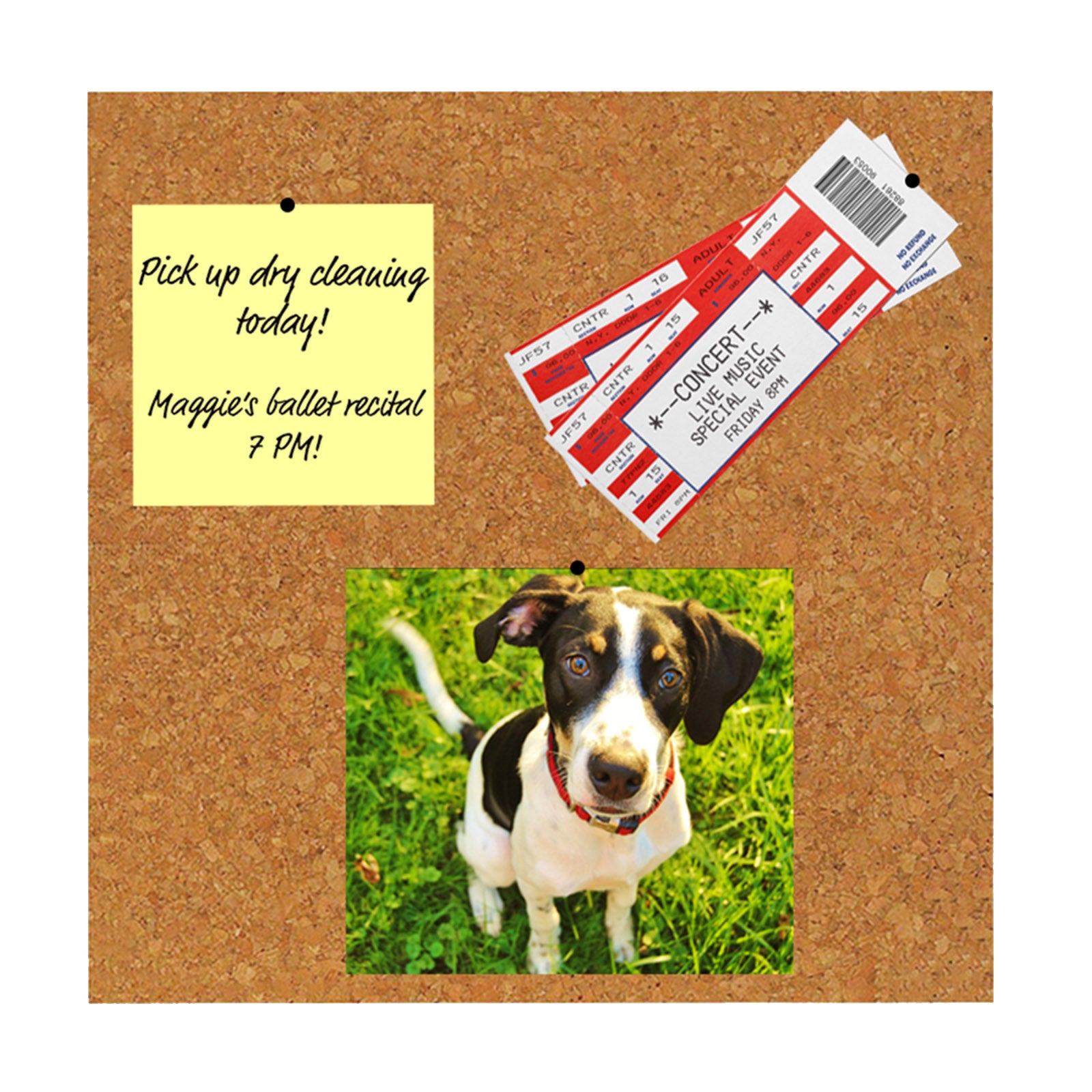 Cork Tiles, 12" x 12", Set of 4