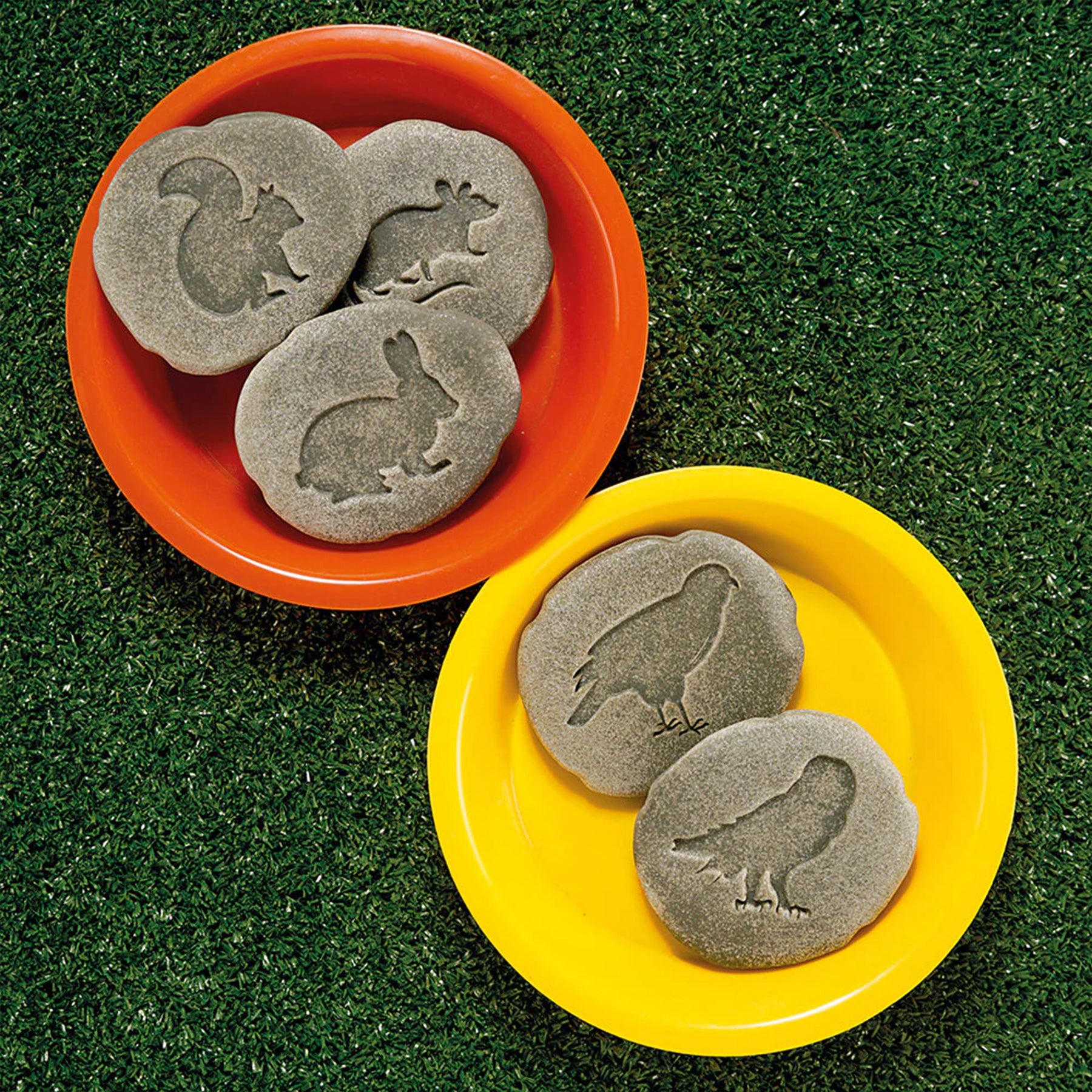 Let's Investigate Woodland Footprint Stones, Set of 8