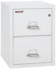1 Hour Fire Resistant File Cabinet - 2 Drawer Letter 25" depth (Arctic White)