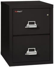 1 Hour Fire Resistant File Cabinet - 2 Drawer Letter 25" depth (Black)