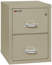 1 Hour Fire Resistant File Cabinet - 2 Drawer Letter 25" depth (Pewter)