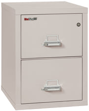 1 Hour Fire Resistant File Cabinet - 2 Drawer Letter 25" depth (Platinum)