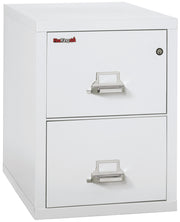 1 Hour Fire Resistant File Cabinet - 2 Drawer Letter 31" depth (Arctic White)