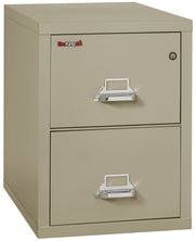 1 Hour Fire Resistant File Cabinet - 2 Drawer Letter 31" depth (Pewter)