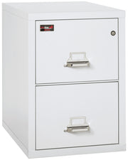 2 Hour Fire Resistant File Cabinet - 2 Drawer Letter 31" depth (Arctic White)