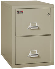 2 Hour Fire Resistant File Cabinet - 2 Drawer Letter 31" depth (Pewter)