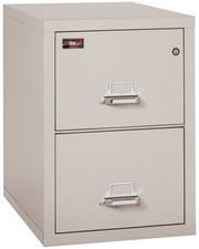 2 Hour Fire Resistant File Cabinet - 2 Drawer Letter 31" depth (Platinum)