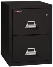 1 Hour Fire Resistant File Cabinet - 2 Drawer Legal 25" depth (Black)