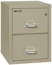 1 Hour Fire Resistant File Cabinet - 2 Drawer Legal 25" depth (Pewter)