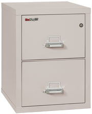 1 Hour Fire Resistant File Cabinet - 2 Drawer Legal 25" depth (Platinum)