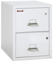 2 Drawer Legal Safe-in-a-File cabinet (Arctic White)