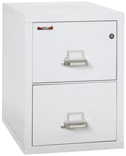 1 Hour Fire Resistant File Cabinet - 2 Drawer Legal 31" depth (Arctic White)