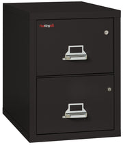 2 Drawer Legal Safe-in-a-File cabinet (Black)