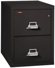 1 Hour Fire Resistant File Cabinet - 2 Drawer Legal 31" depth (Black)