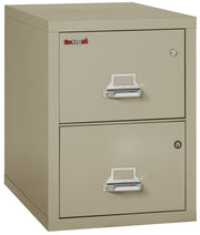 2 Drawer Legal Safe-in-a-File cabinet (Pewter)