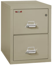 1 Hour Fire Resistant File Cabinet - 2 Drawer Legal 31" depth (Pewter)