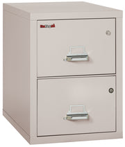 2 Drawer Legal Safe-in-a-File cabinet (Platinum)