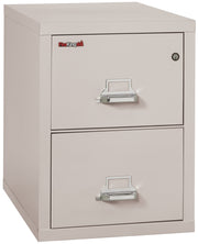1 Hour Fire Resistant File Cabinet - 2 Drawer Legal 31" depth (Platinum)