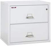 Fire Resistant File Cabinet - 2 Drawer Lateral 31" wide (Arctic White)