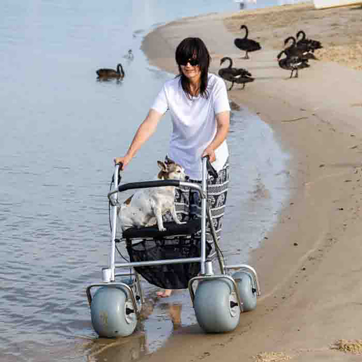 Wheeleez All-Terrain Beach Rollator