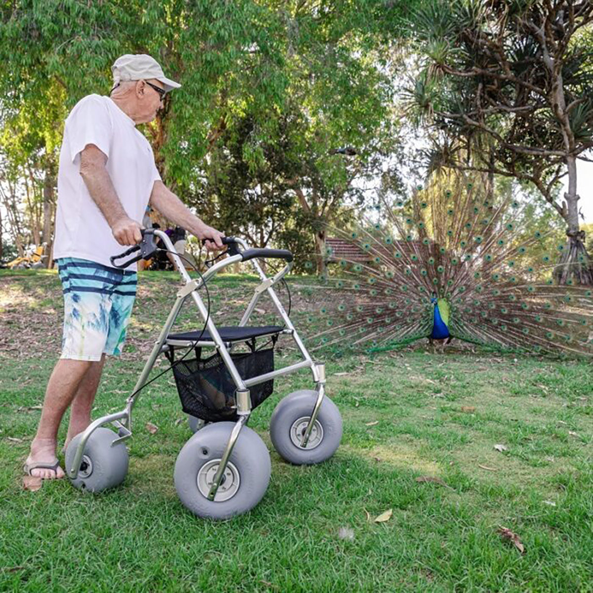 Wheeleez All-Terrain Beach Rollator