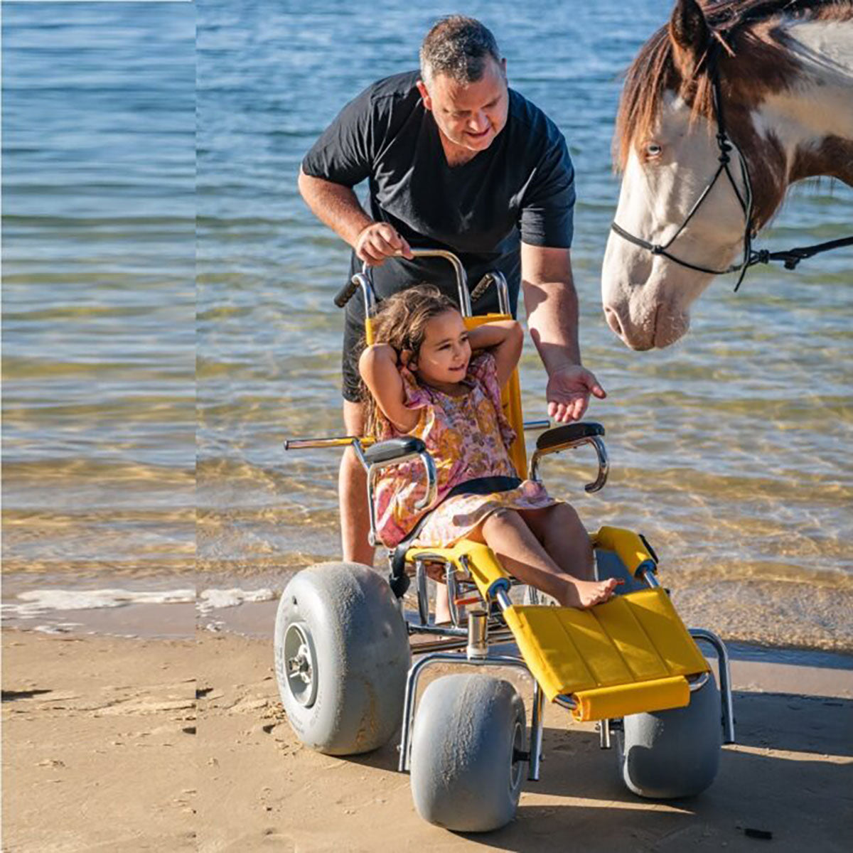 Wheeleez Sandpiper All-Terrain Beach Wheelchair