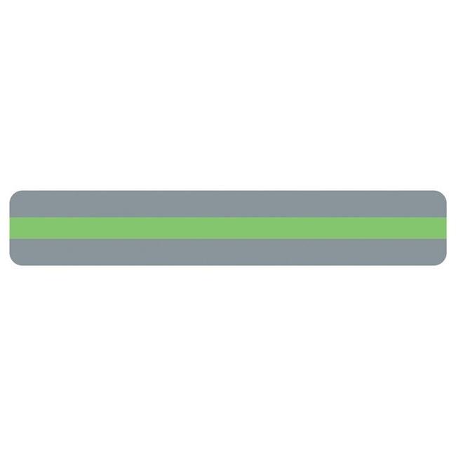 Ashley Productions Sentence Strip Reading Guide  1.25 X 7.25  Light Green  Model Number: ASH10812