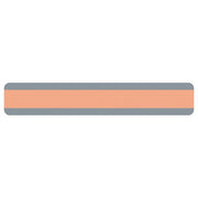 ASH10873 Sentence Reading Guide Strip, Peach