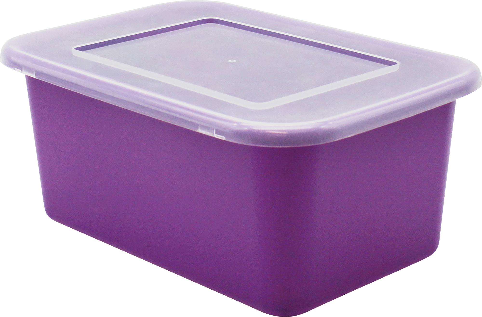 Small Clear Plastic Storage Bin Lid